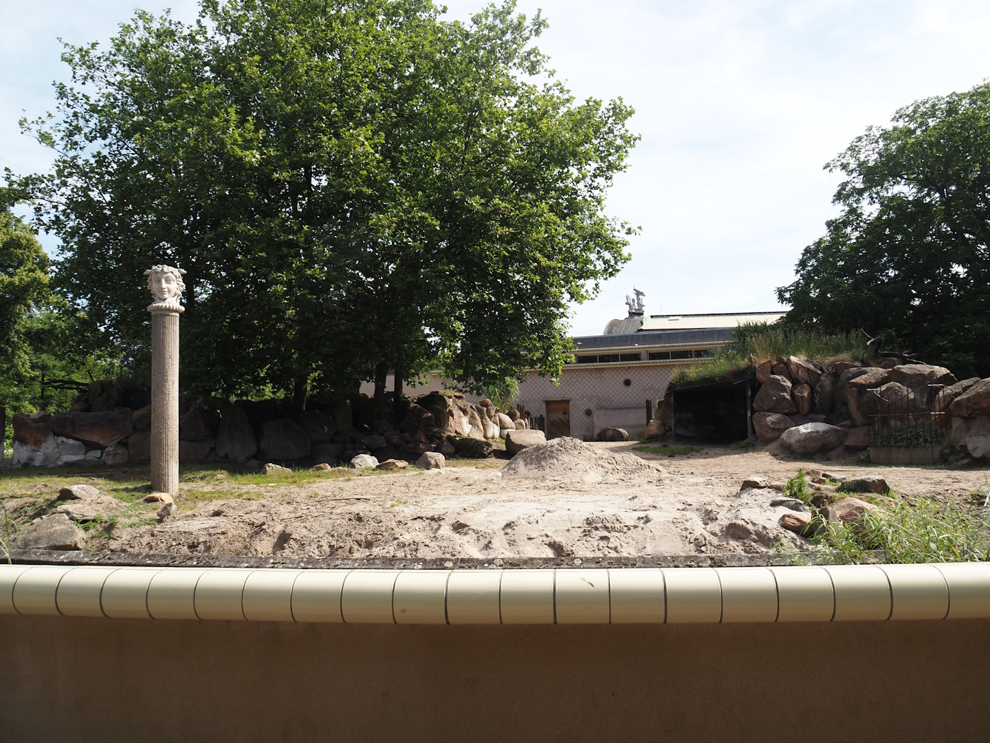 Second Eastern black rhinoceros paddock, 2024-06-30