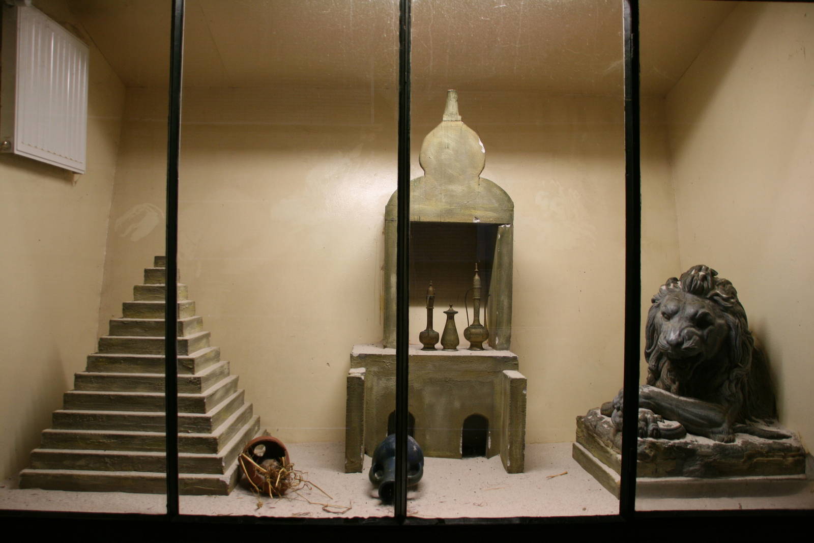 second Egyptian spiny mouse exhibit