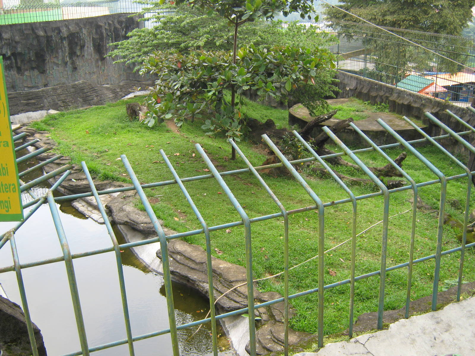 second enclosure for Sumatran tiger