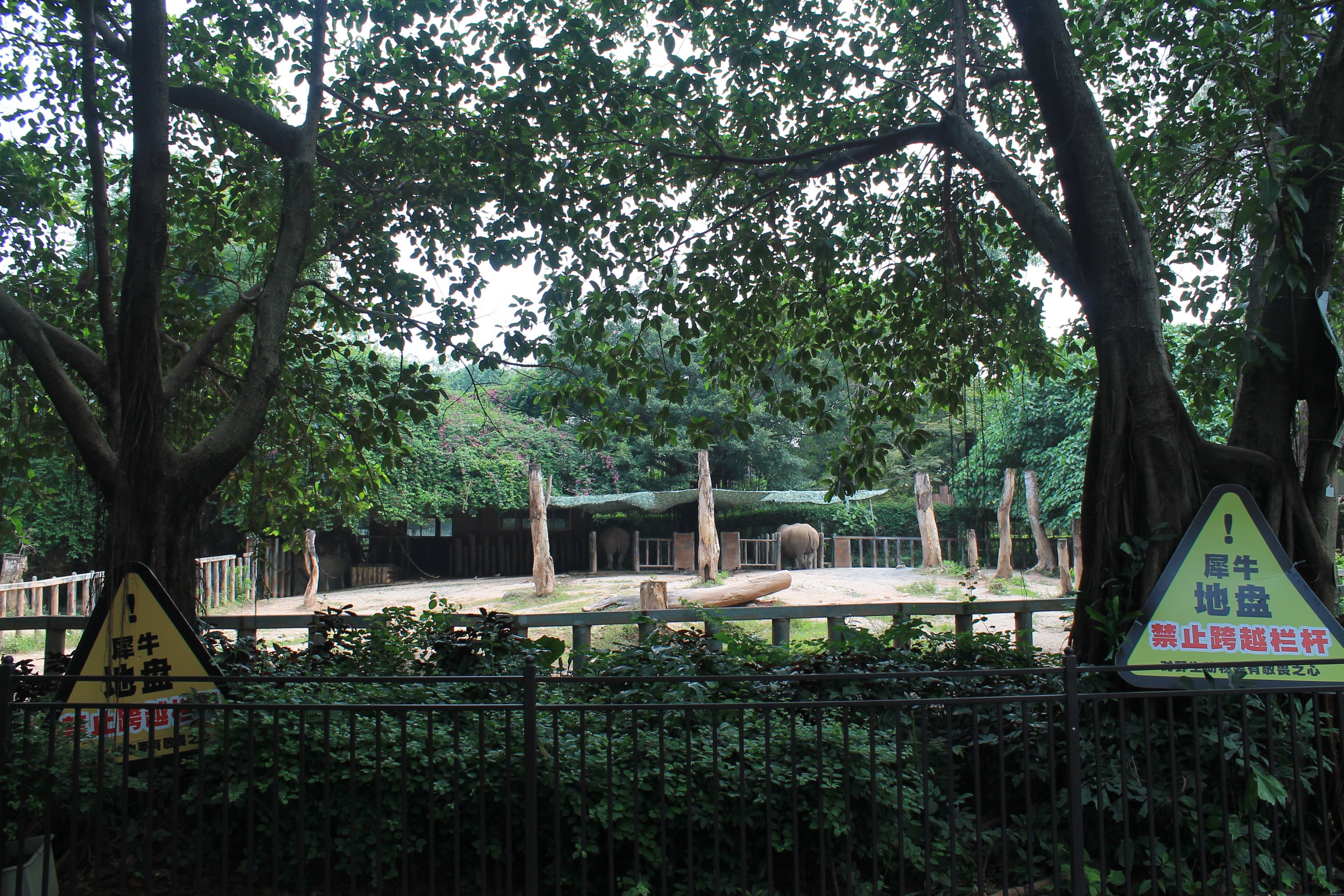 Second enclosure for White Rhinoceros (Ceratotherium simum)