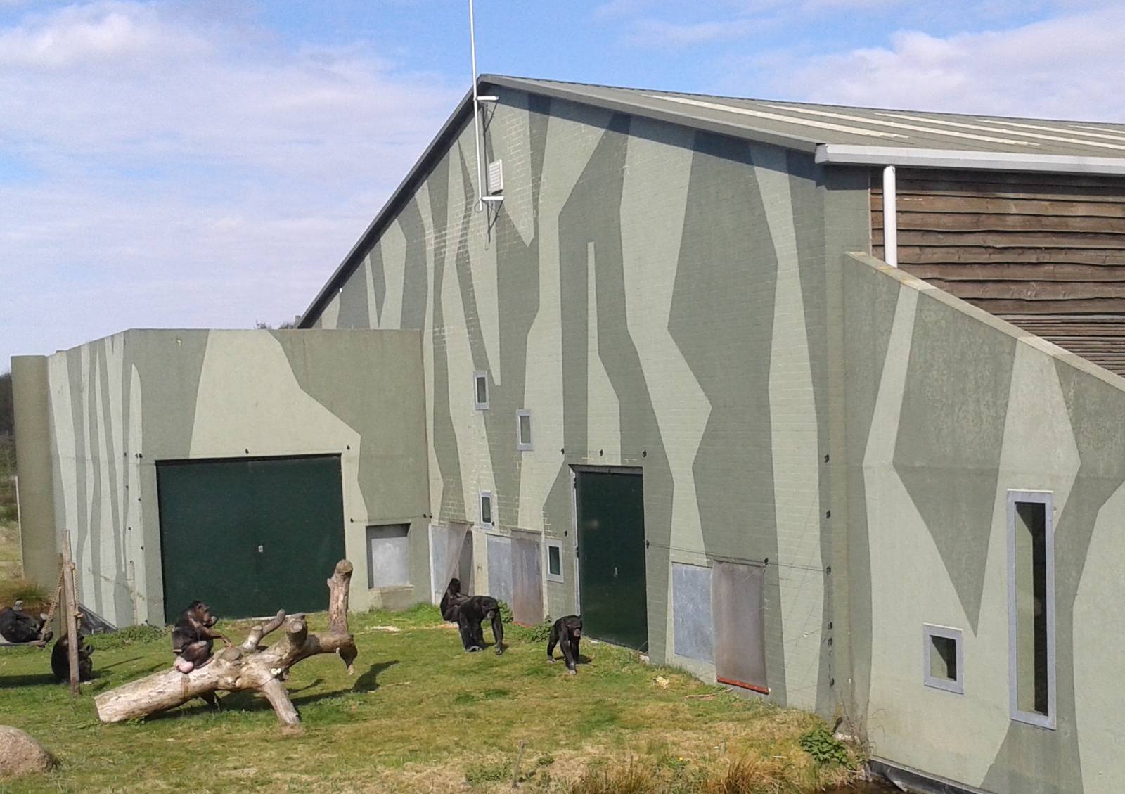 second enclosure of chimps