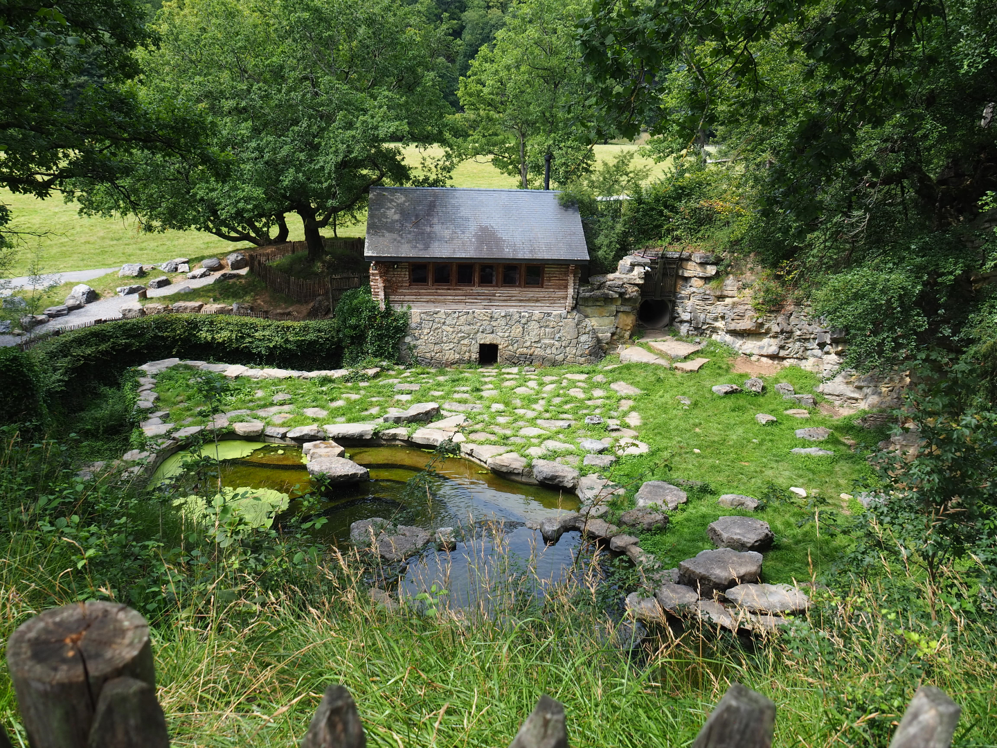 Second Eurasian brown bear exhibit - Exhibit for two old bears, 2021-08-15