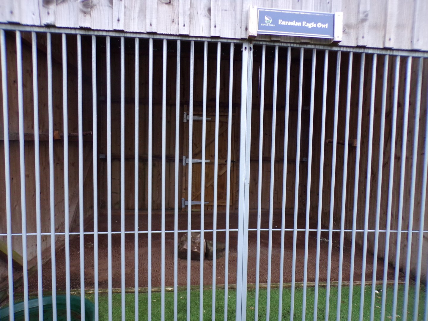Second Eurasian eagle owl enclosure