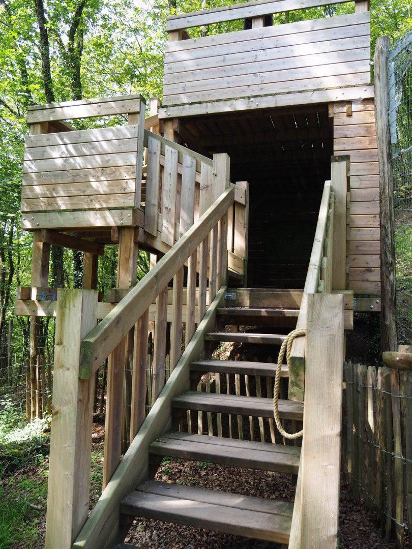 Second Eurasian lynx exhibit viewing tower, 2021-08-15