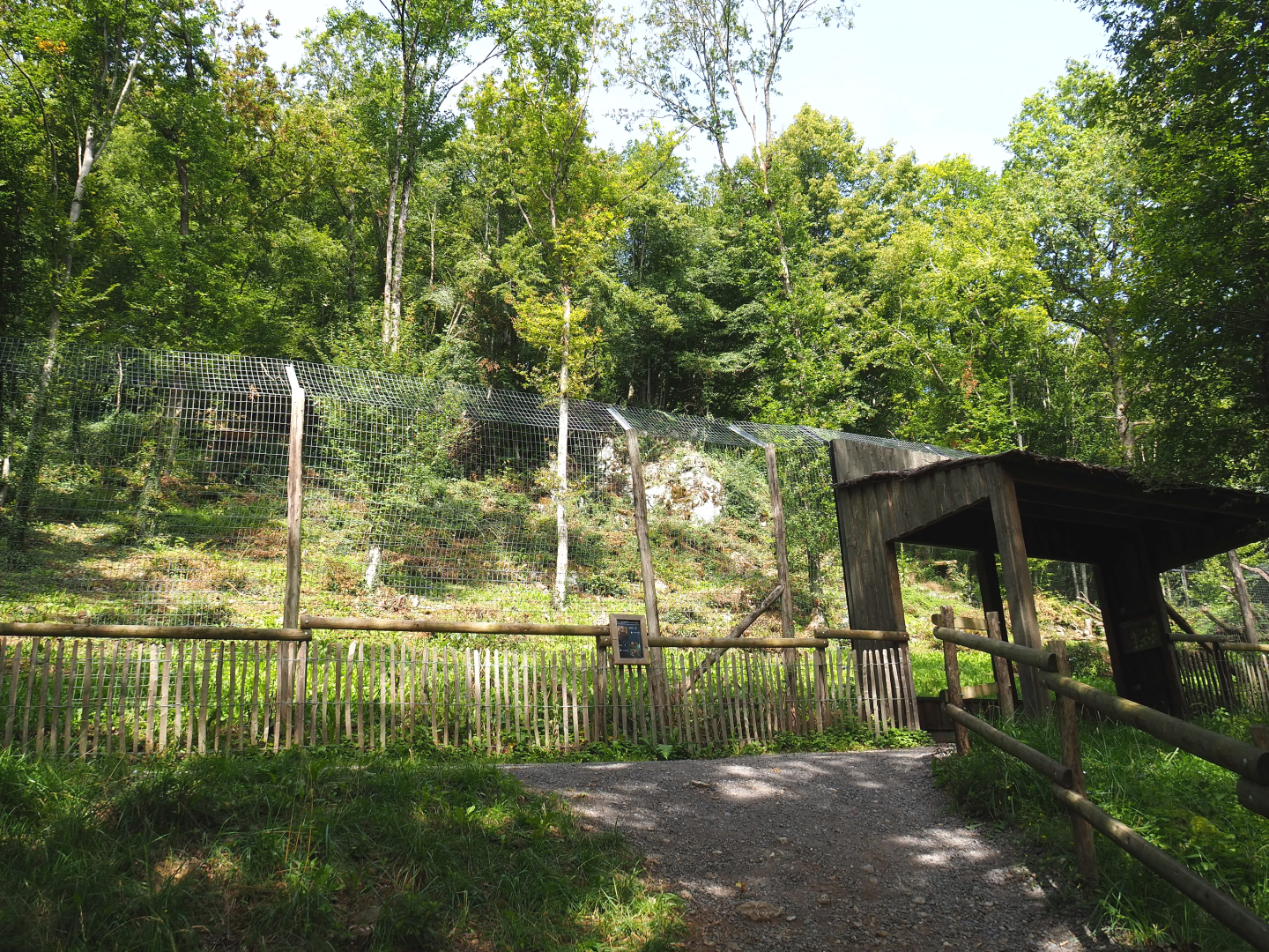 Second Eurasian lynx exhibit, walkway and viewing area, 2021-08-15