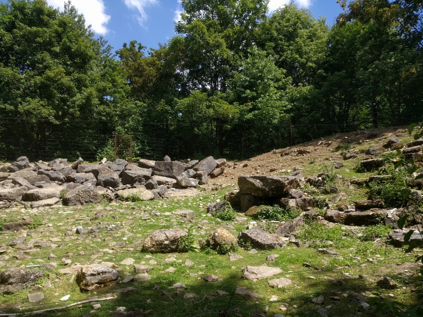 Second European moufflon Enclosure