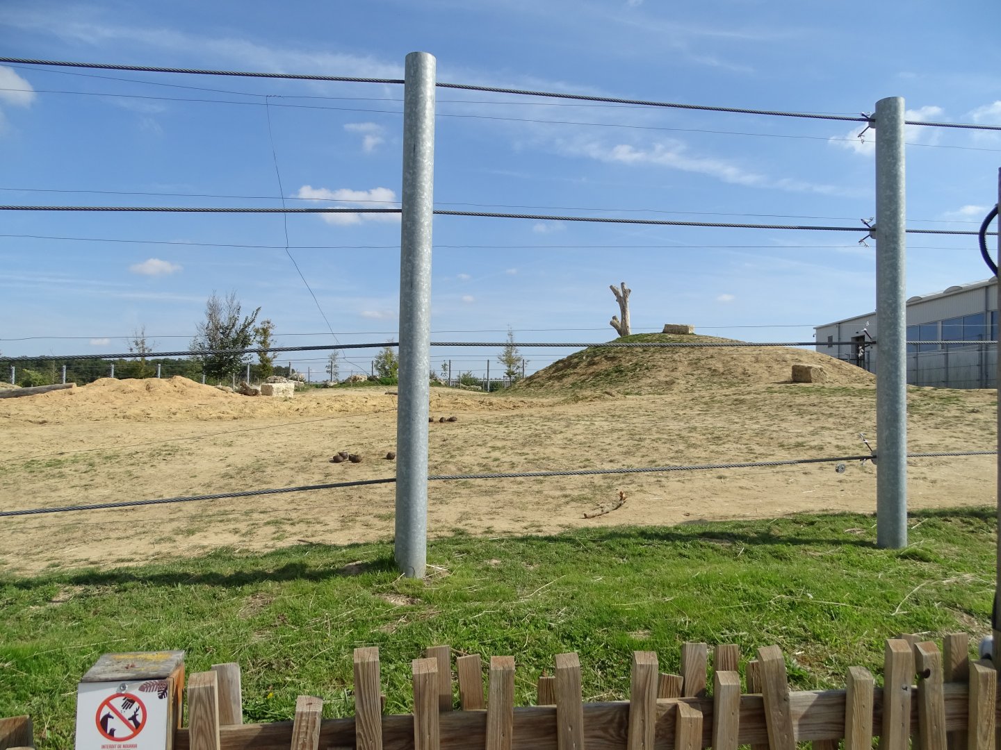 Second exhibit asian elephants
