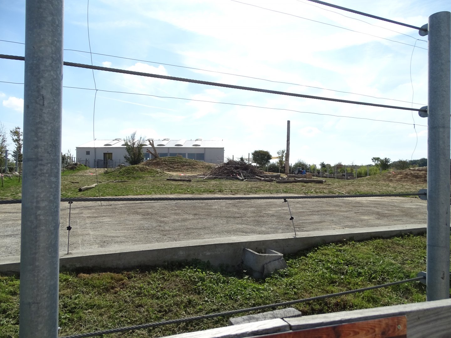 Second exhibit asian elephants