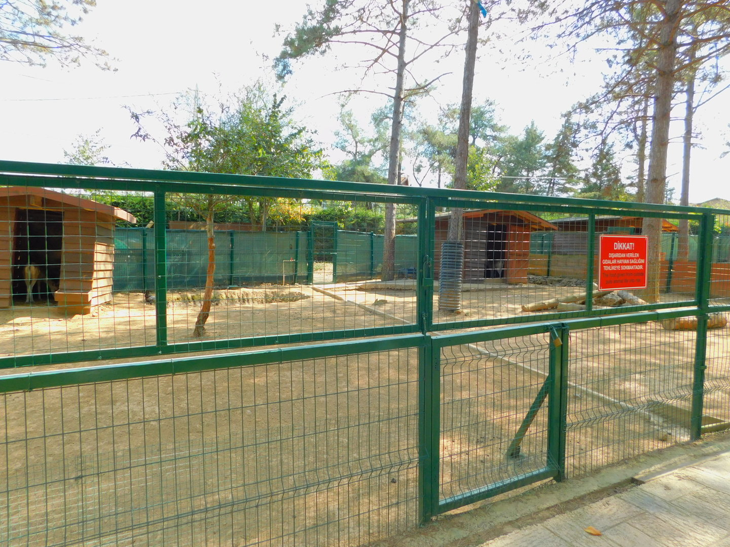 Second Fallow Deer enclosure at Park Of Istanbul