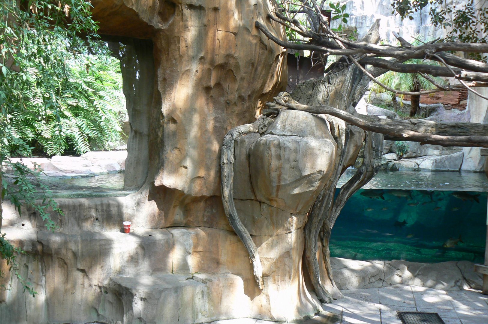 Second false gharials exhibit from a lower level