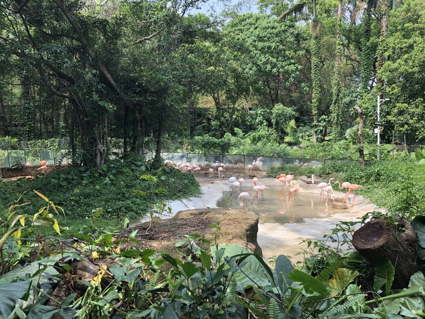 Second Flamingo Pond