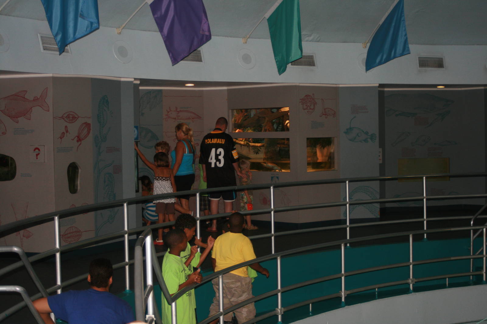 Second floor exhibits