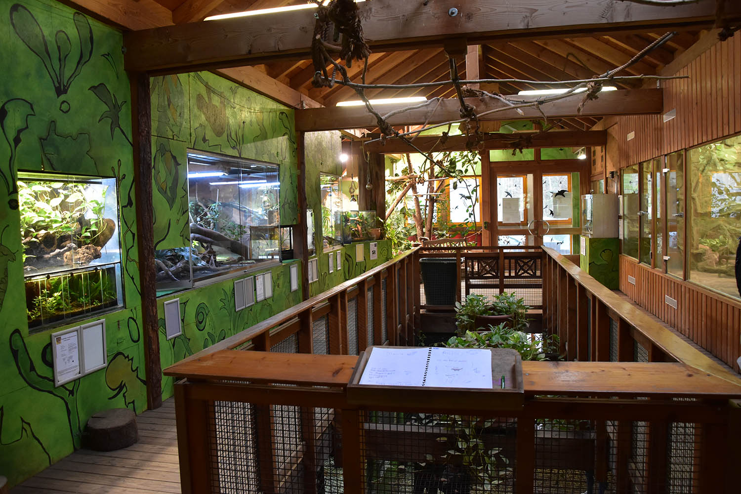 Second floor in the tropical house