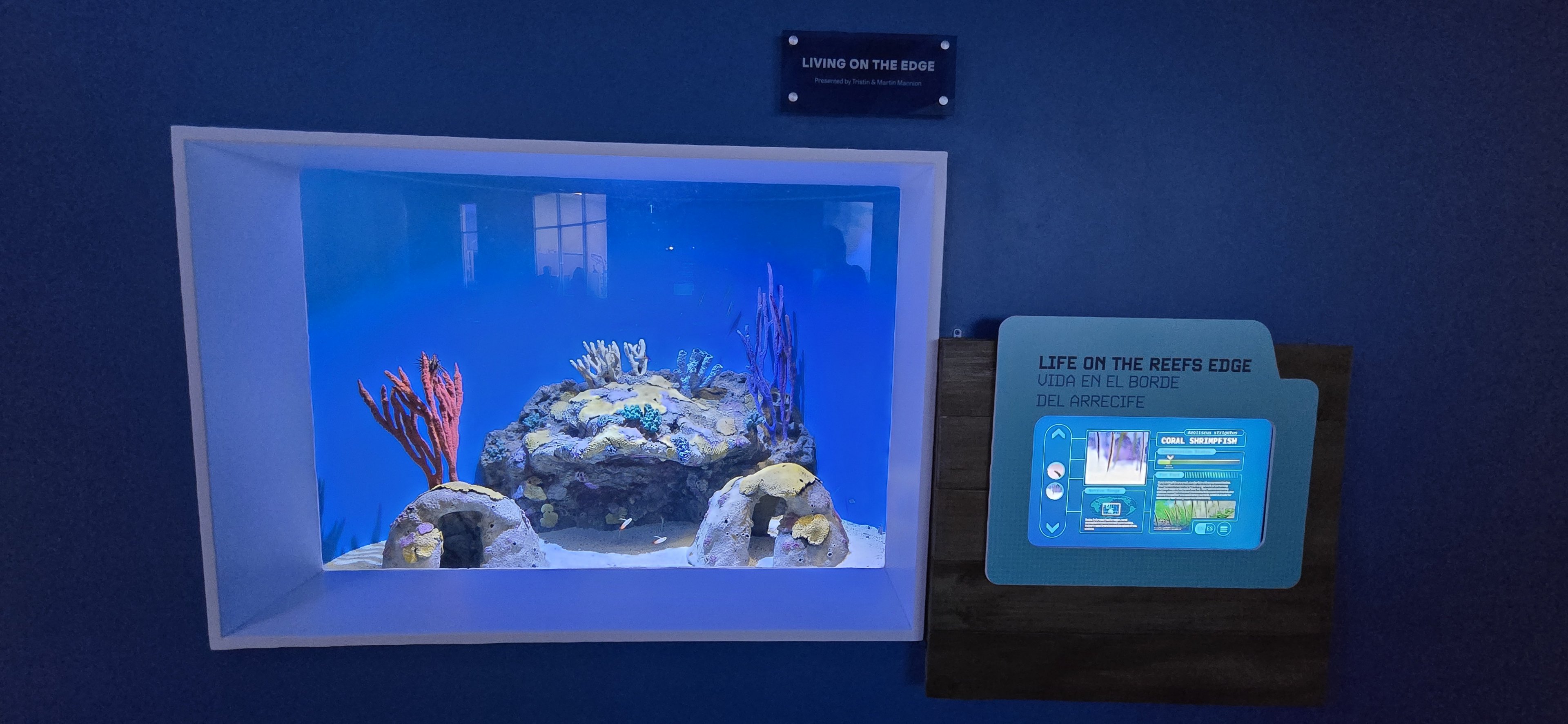 Second Floor - Reef's Edge