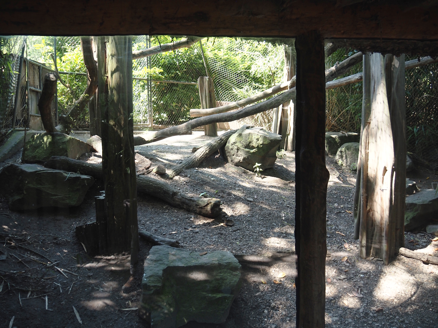 Second fossa exhibit, 2024-06-08
