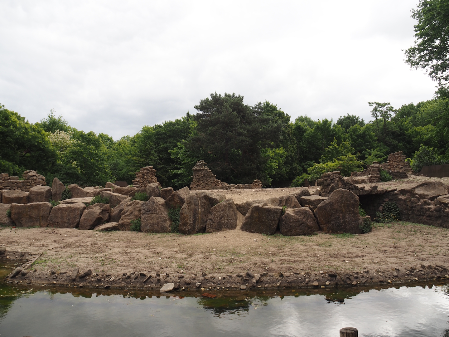 Second Gelada exhibit, 2025-05-22