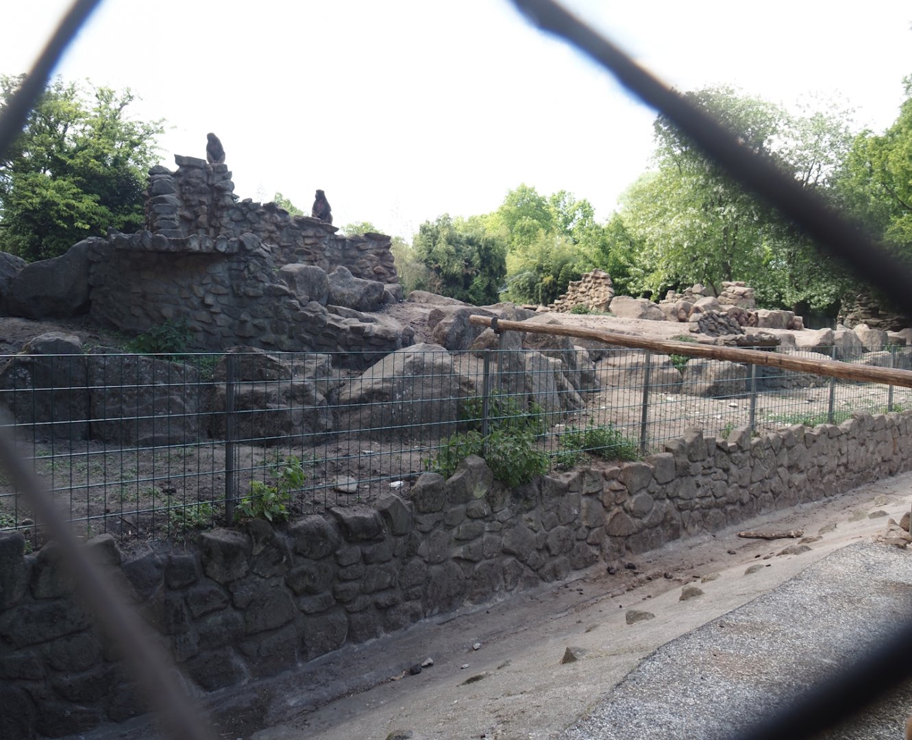 Second Gelada exhibit and accesses to the Barbary sheep exhibit, 2025-05-22
