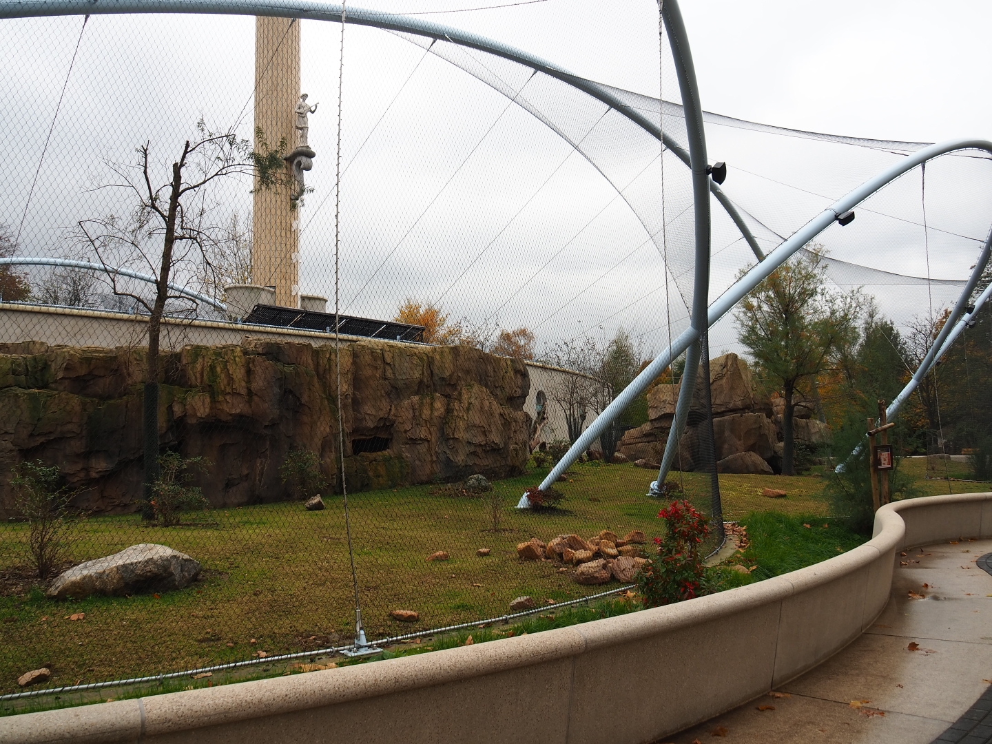 Second gelada exhibit - Family group (Nov 10th, 2018)
