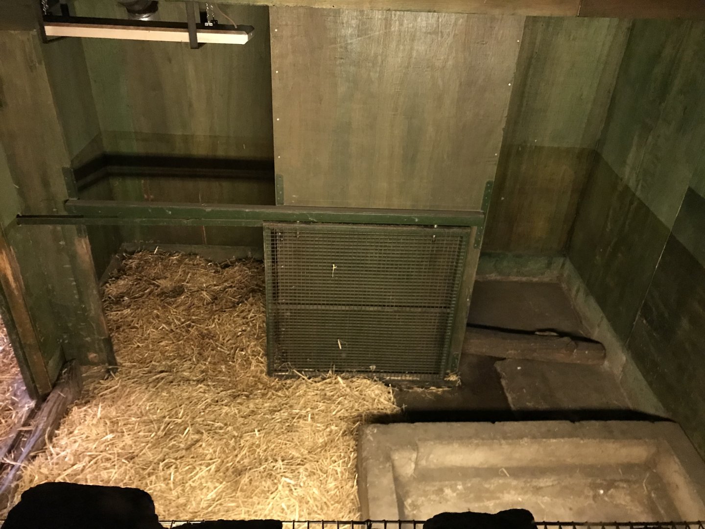 Second giant anteater indoor enclosure
