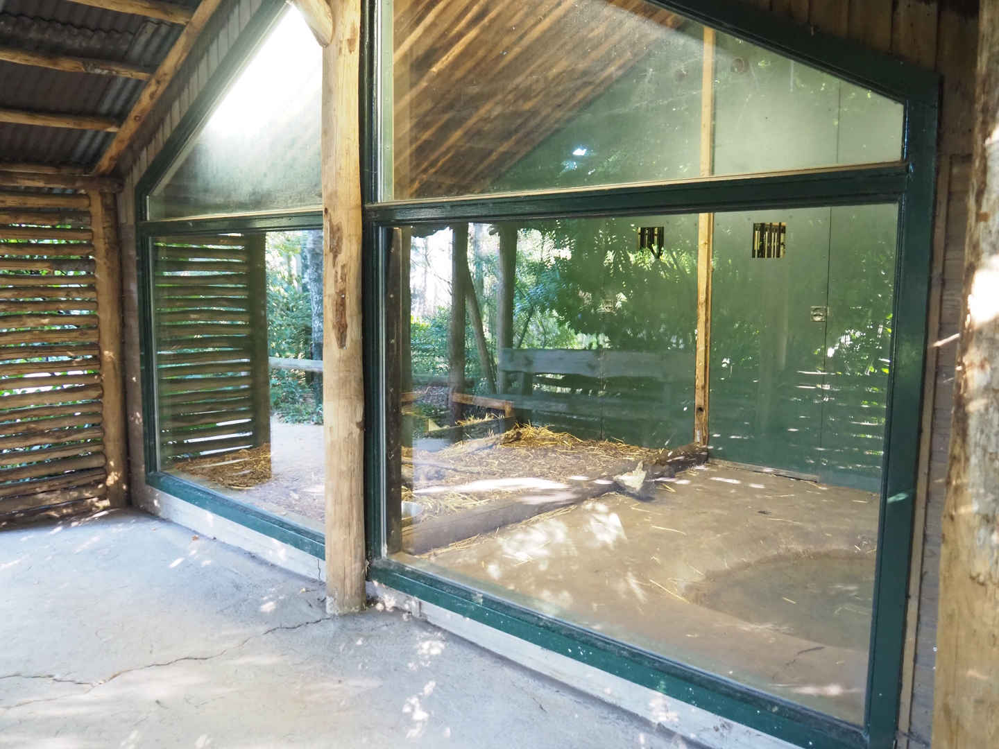 Second giant anteater indoor exhibit, 2022-10-09