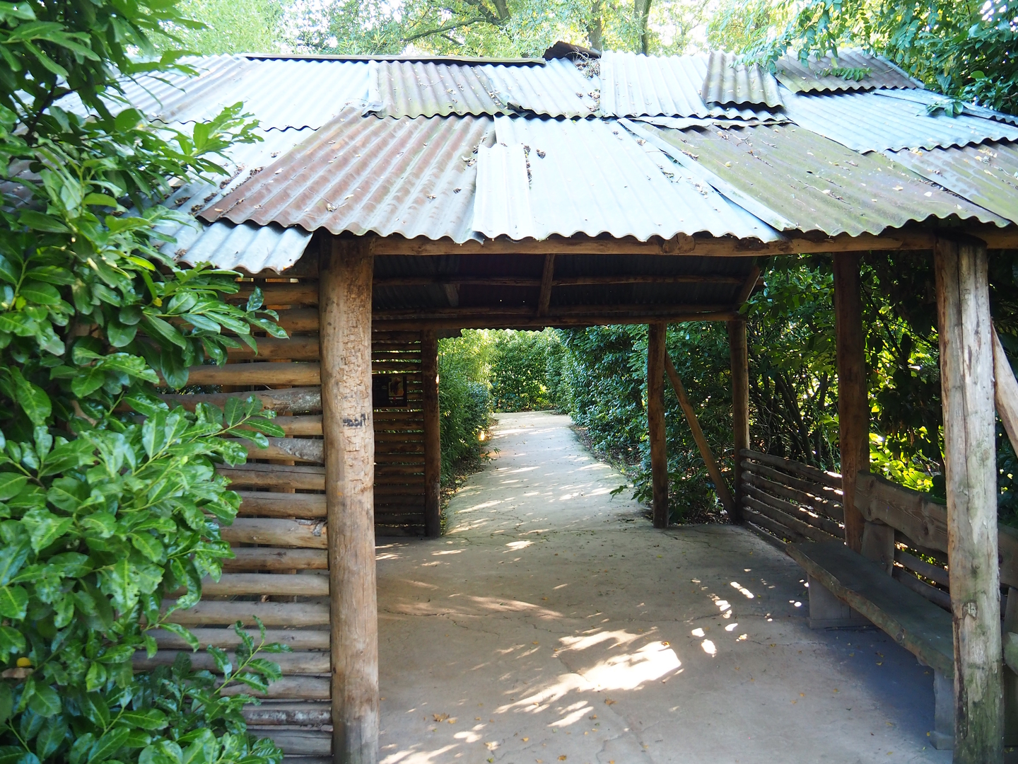 Second giant anteater indoor exhibit viewing area, 2022-10-09