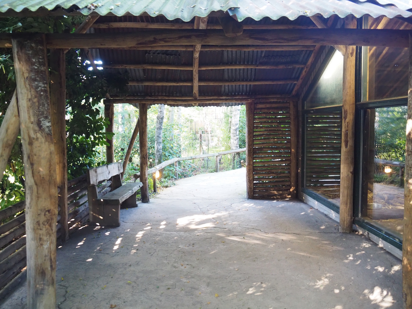 Second giant anteater indoor exhibit viewing area, 2022-10-09