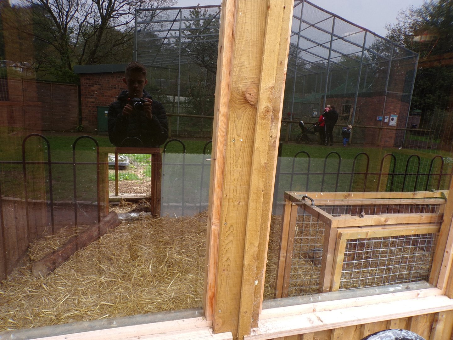 Second giant anteater indoors 7.5.23