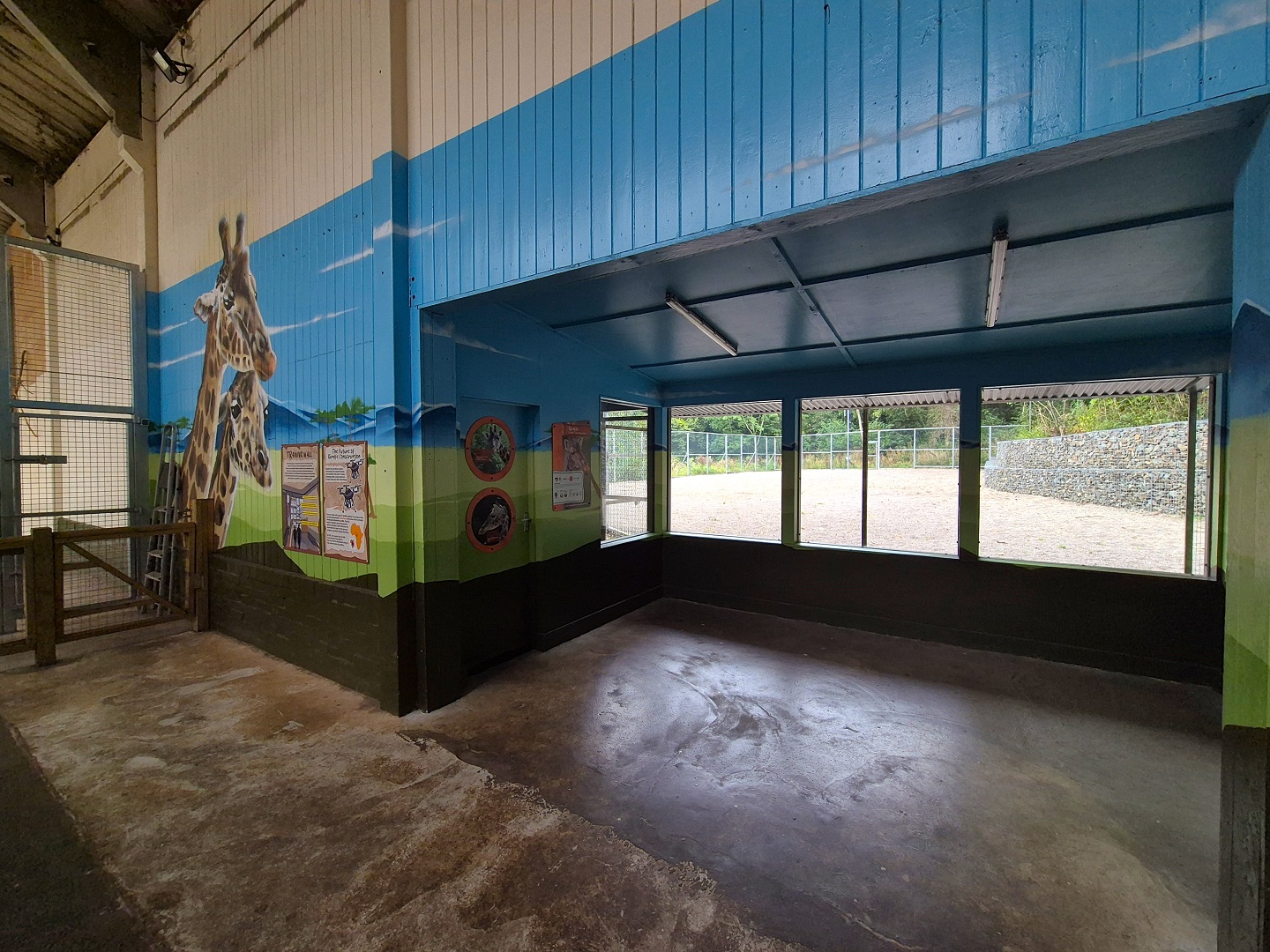 Second giraffe paddock viewing area