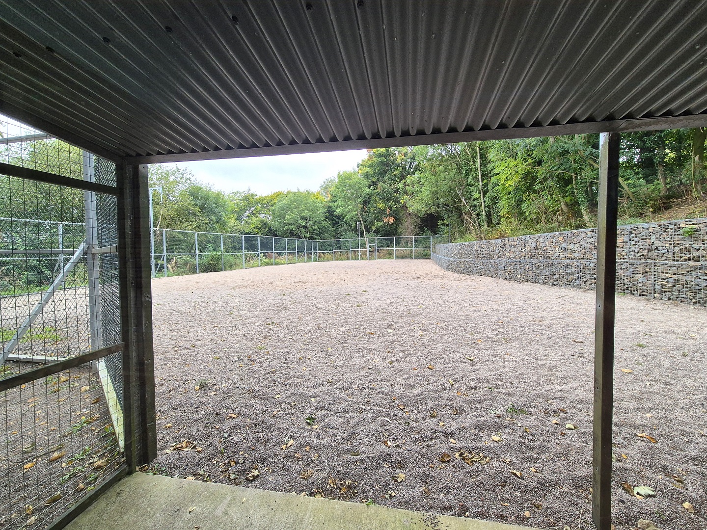 Second giraffe paddock