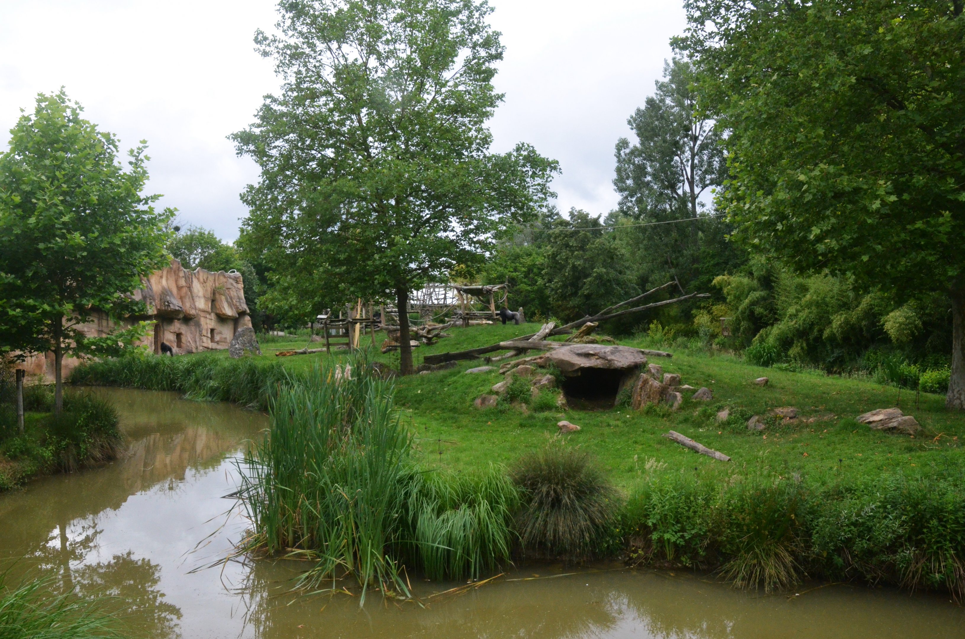 Second Gorilla (and Guenon) Enclosure at Beauval, 12/06/18