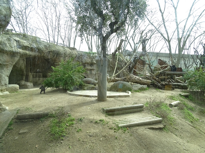 Second gorilla enclosure
