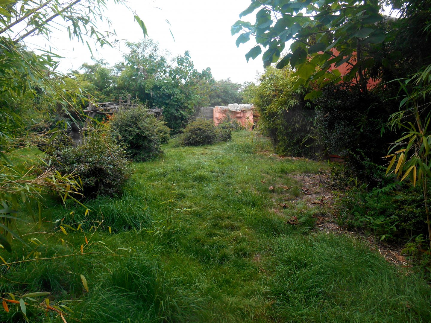 Second Gorillas Exhibit