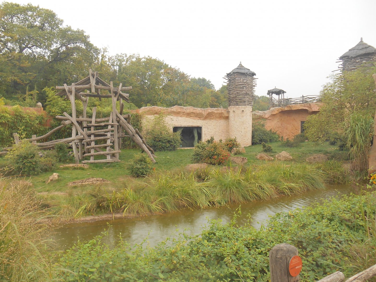 Second Gorillas Exhibit