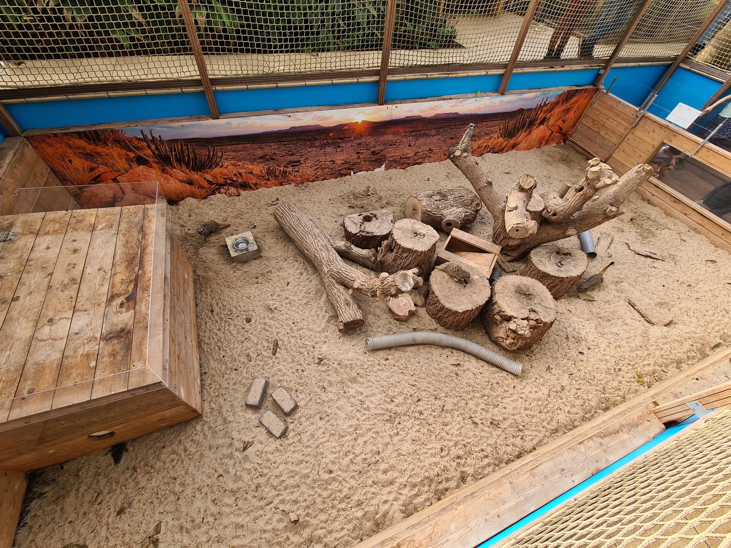 Second greenhouse - Meerkat enclosure