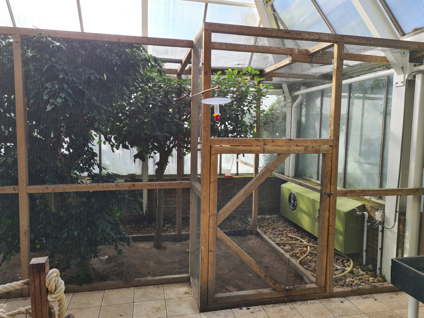 Second greenhouse - Toco toucan aviary