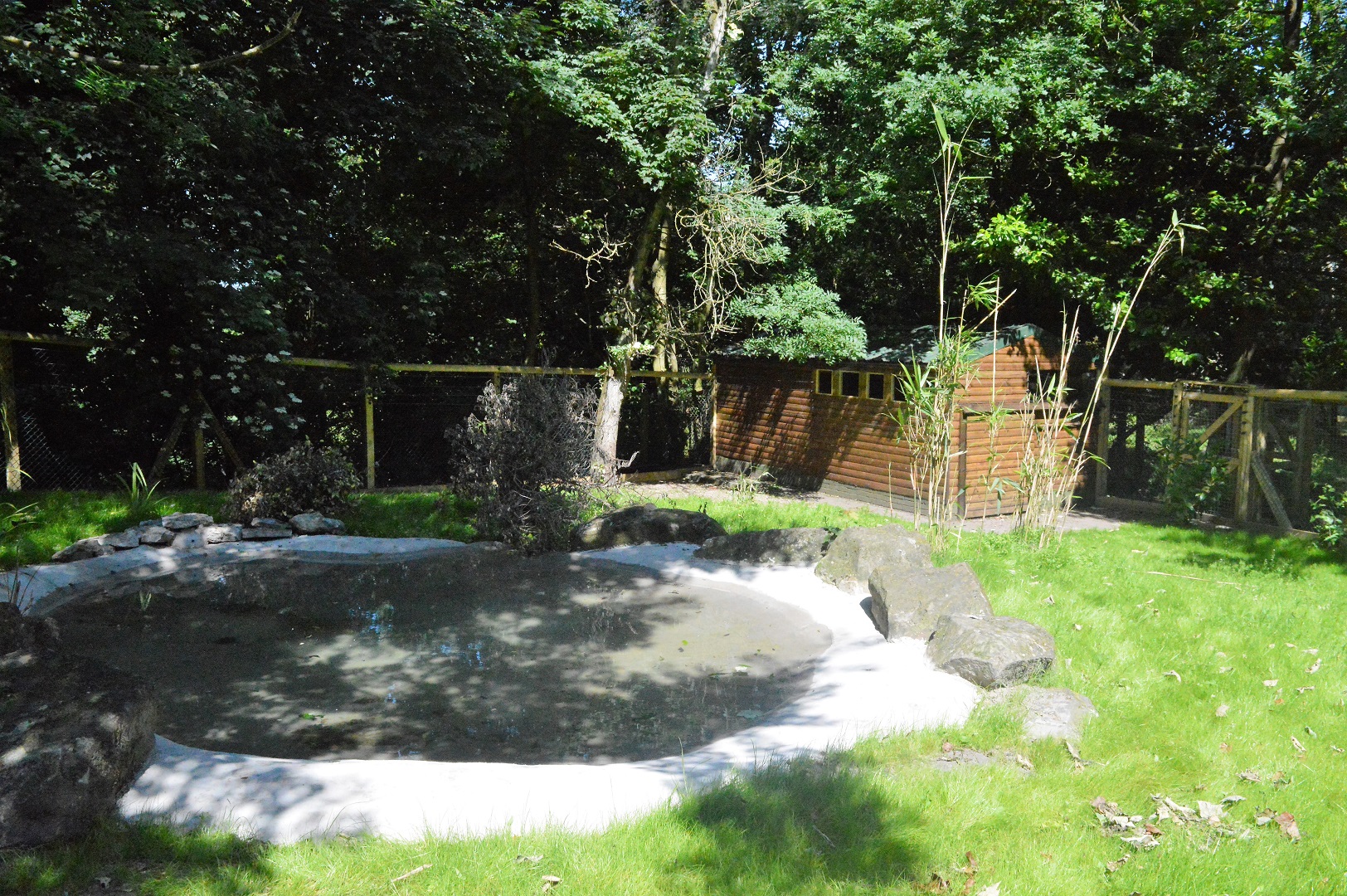 Second half of new giant anteater enclosure