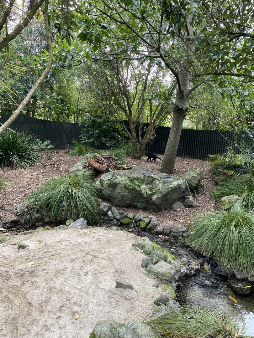 Second half of Tasmanian Devil enclosure