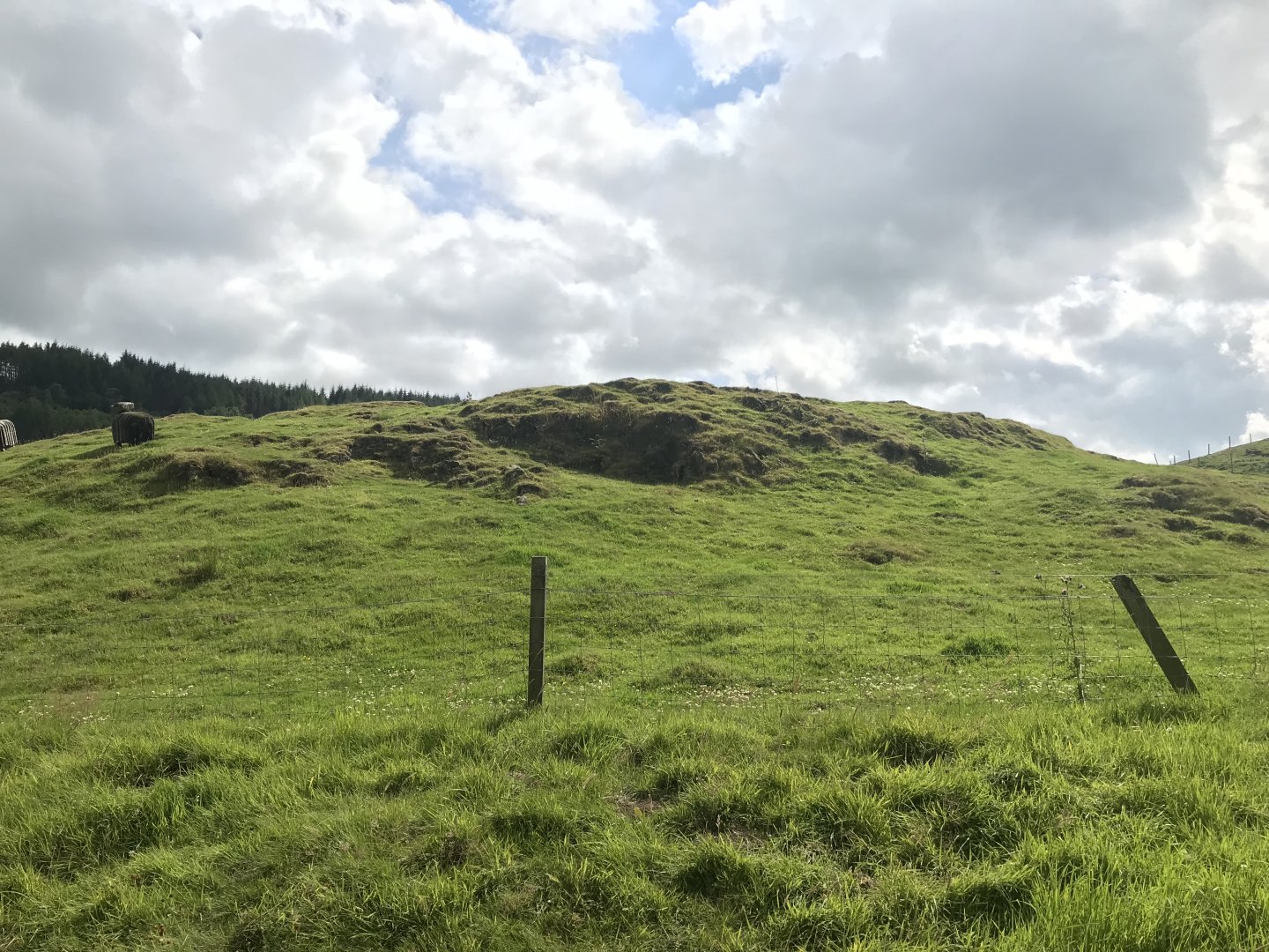 Second highland cow enclosure (2)