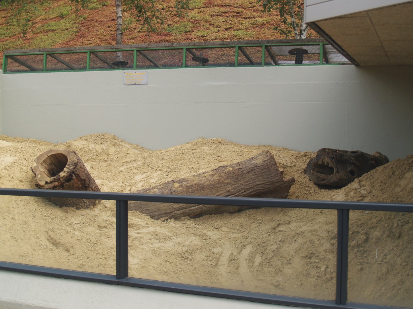 Second Indian crested porcupine exhibit, 2006-07-08