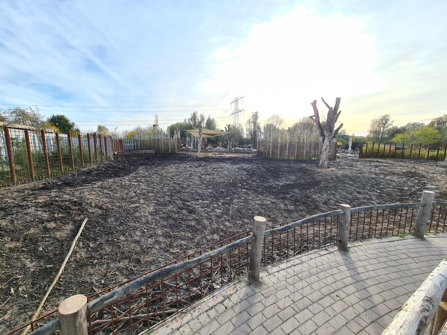 Second Indian Rhinoceros enclosure