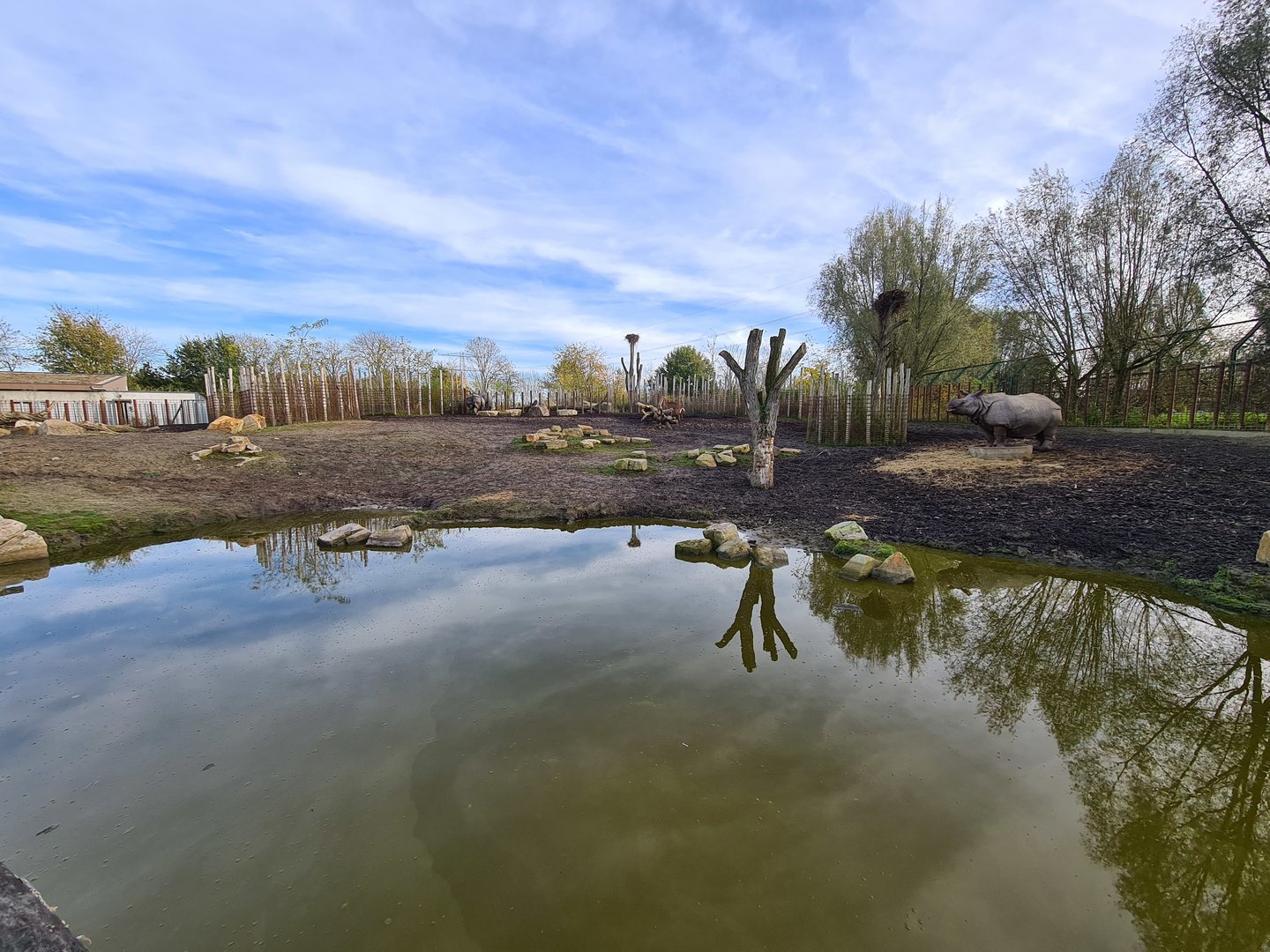 Second Indian Rhinoceros enclosure