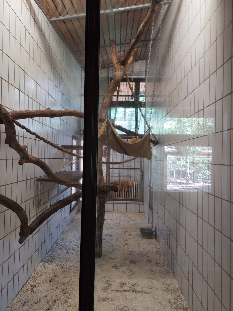 Second indoor capuchin monkey exhibit