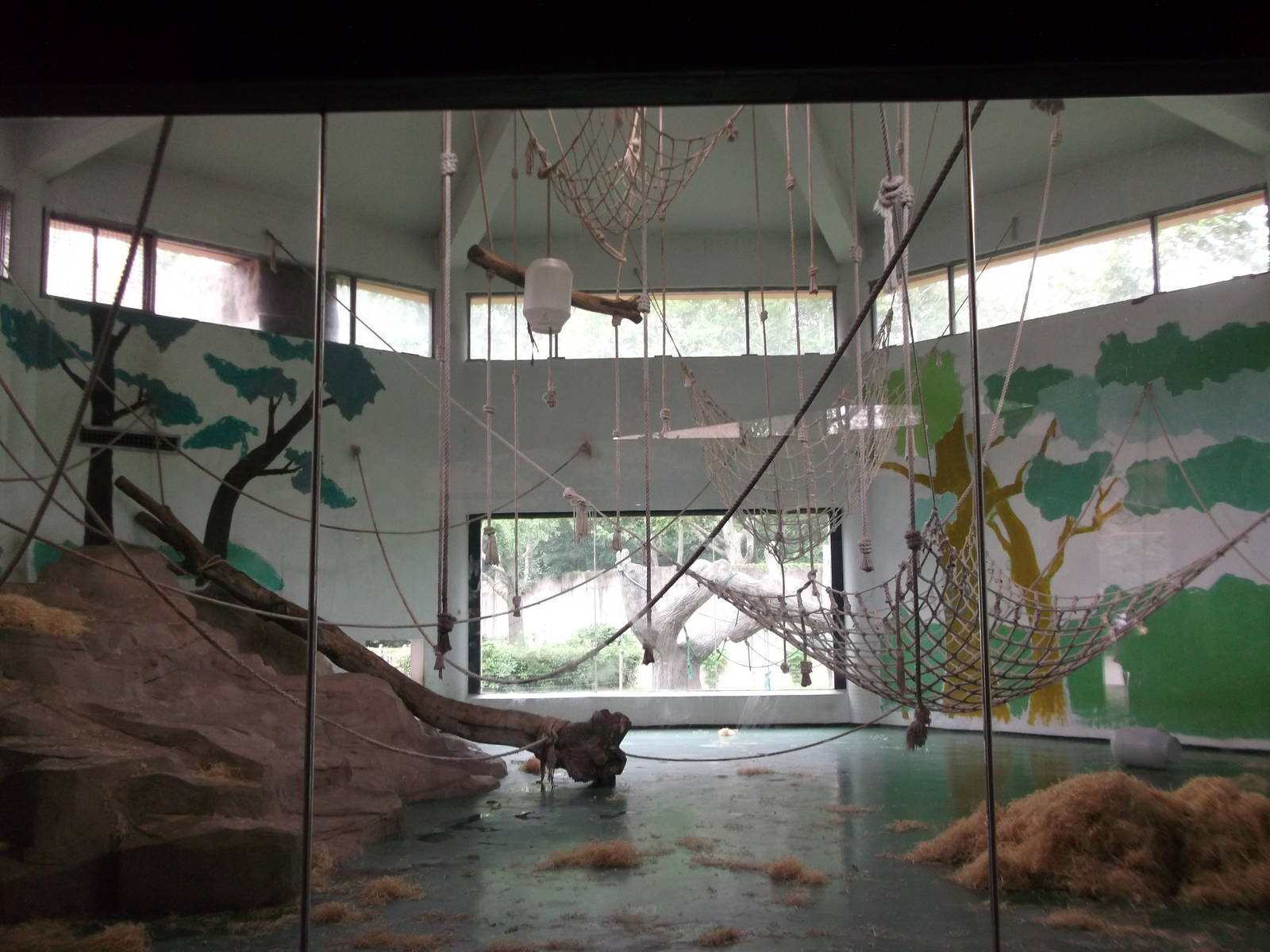 Second Indoor Gorilla Area