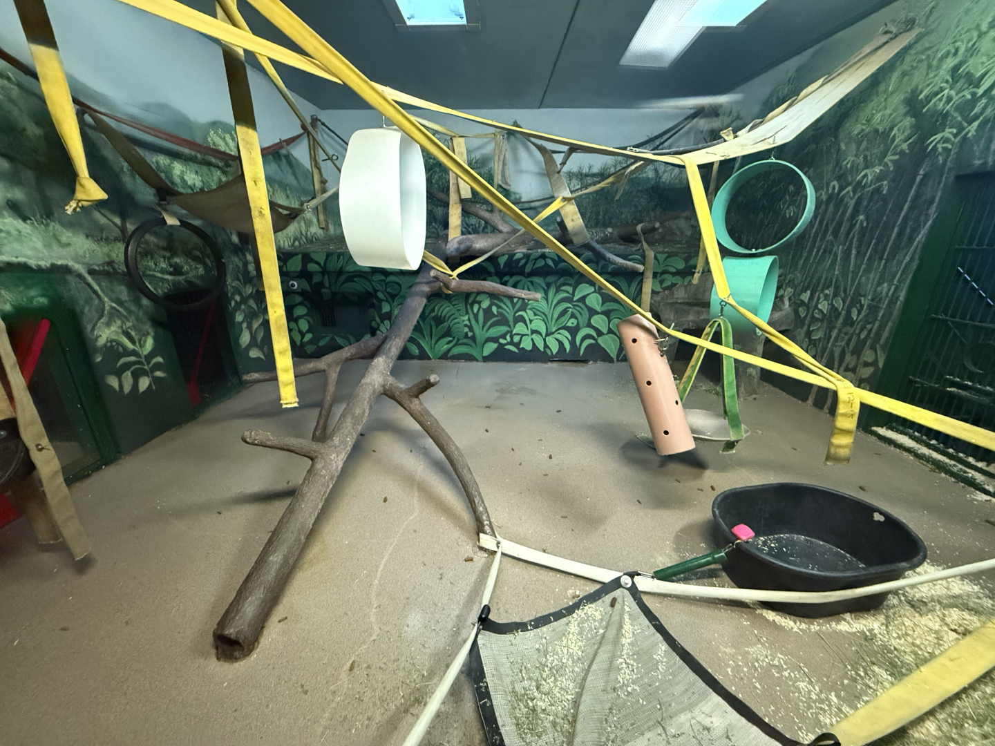 Second Indoor Gorilla Habitat - Great Apes