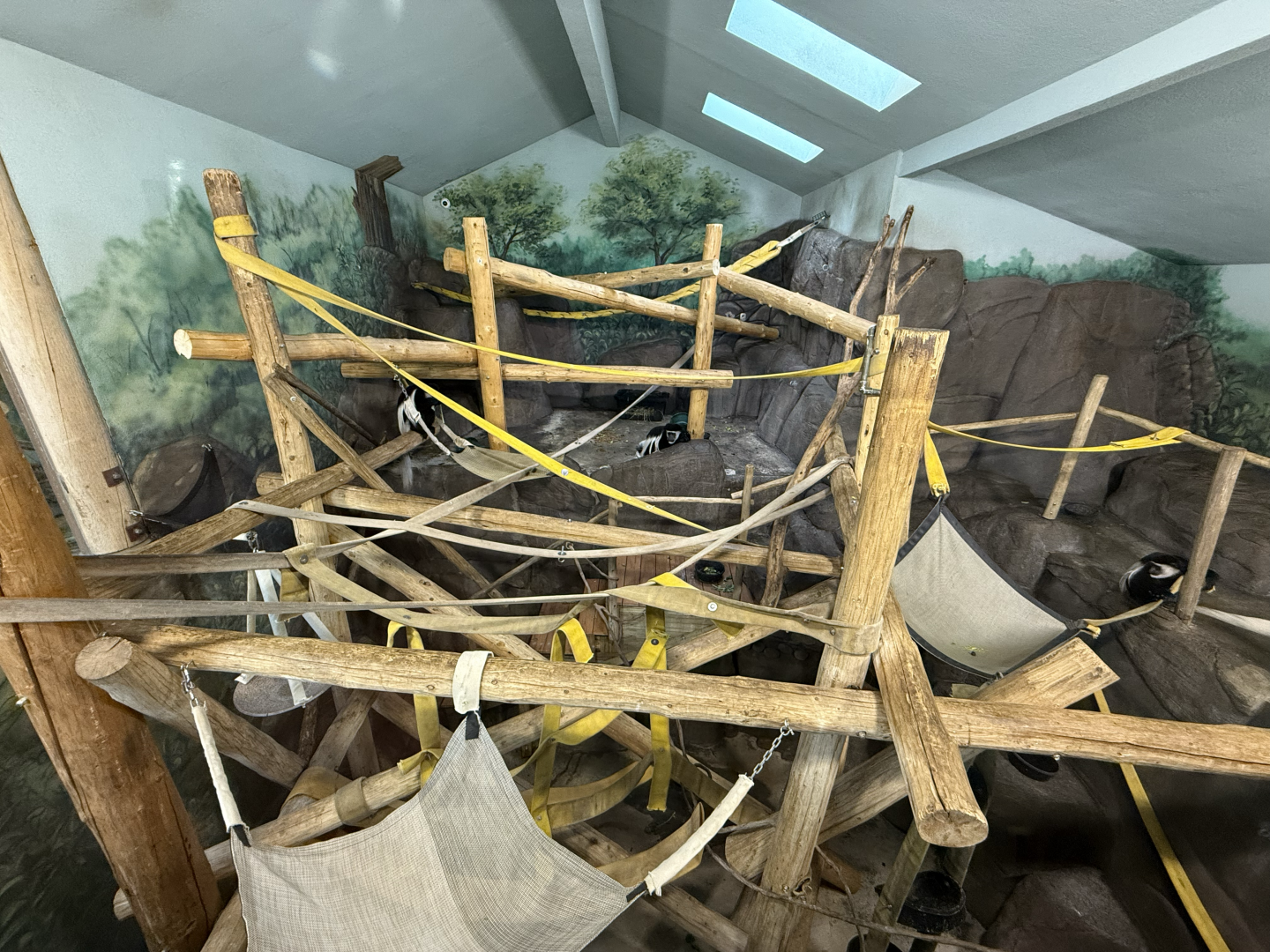 Second Indoor Habitat - Primate Forest