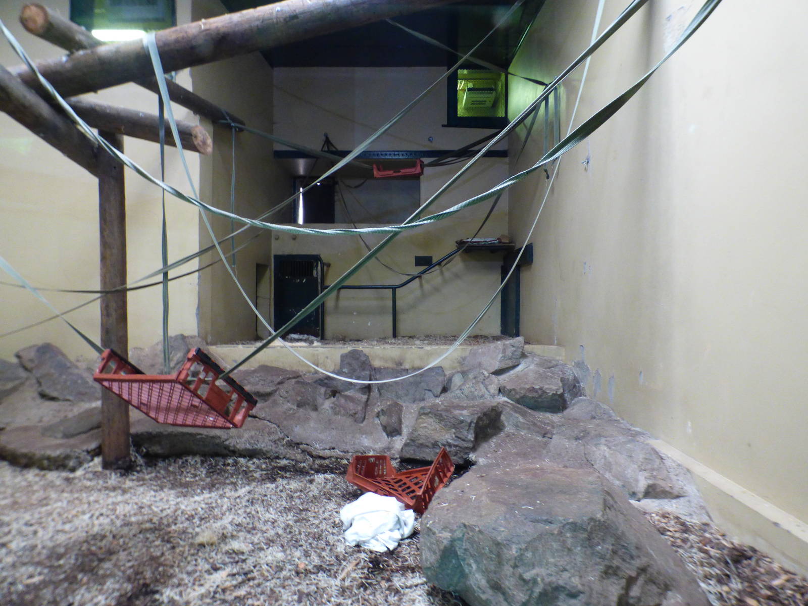 Second Indoor Orangutan Enclosure