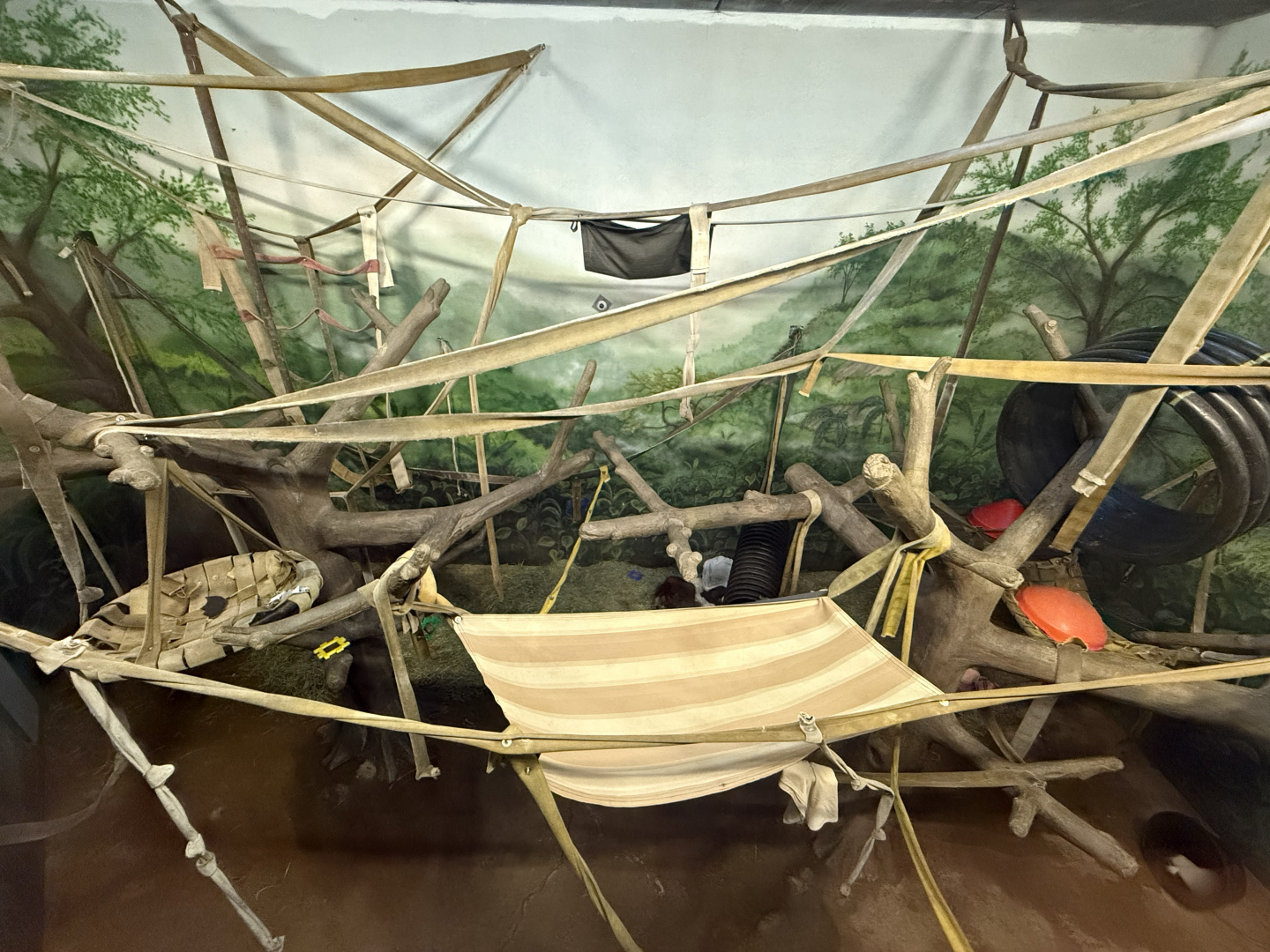 Second Indoor Orangutan Habitat - Great Apes