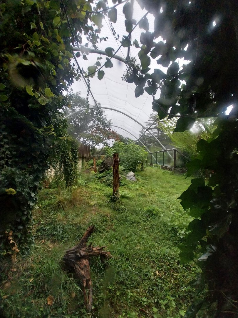 Second jaguar enclosure