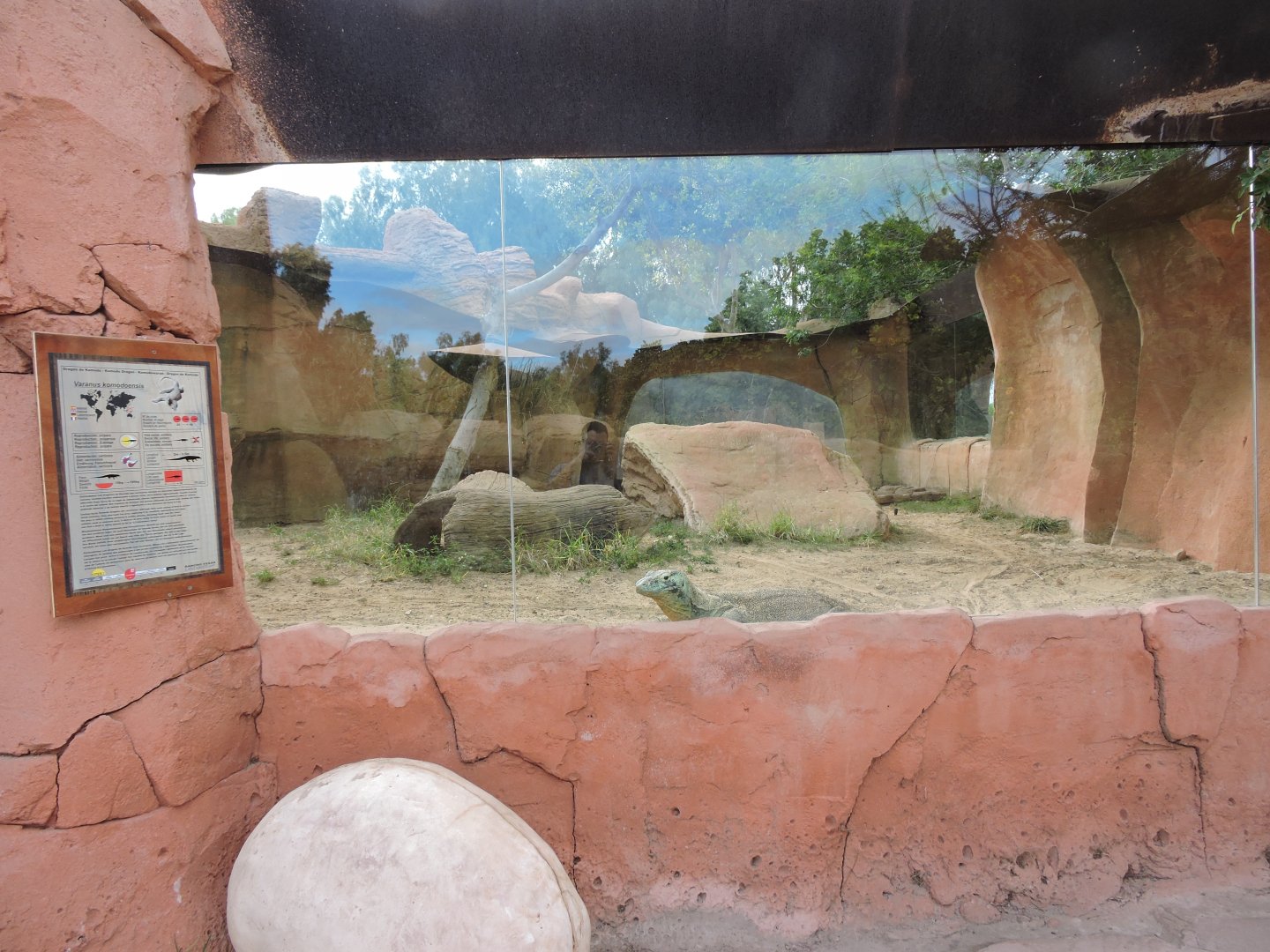 Second Komodo Exhibit