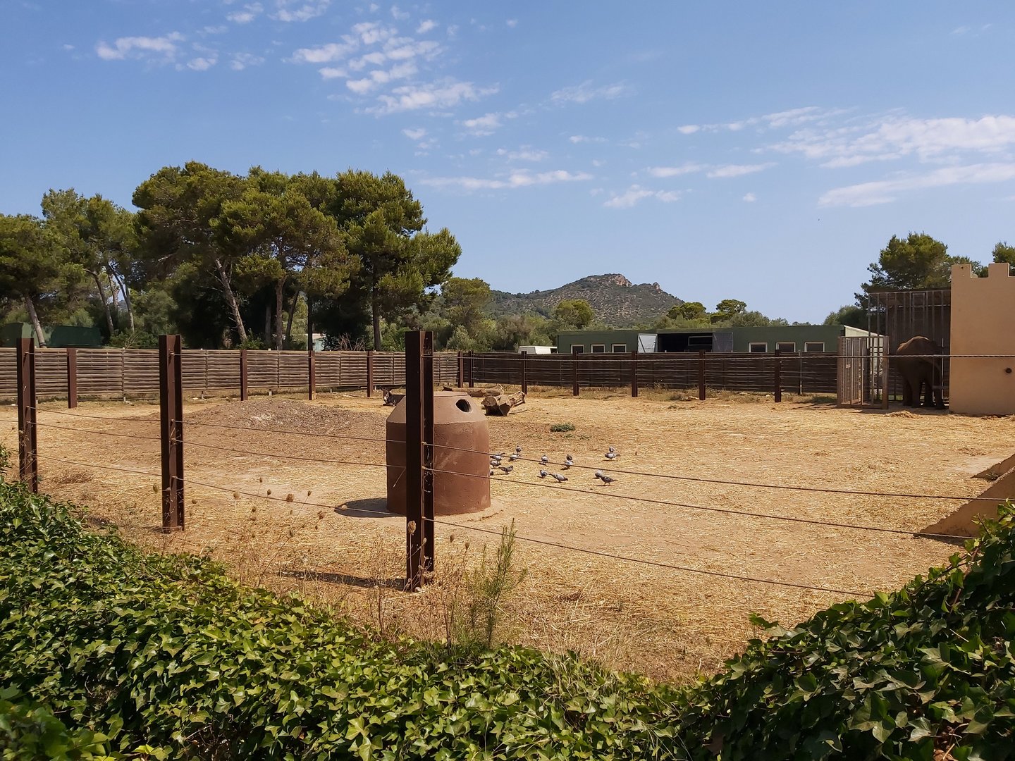 Second (leftmost) elephant enclosure